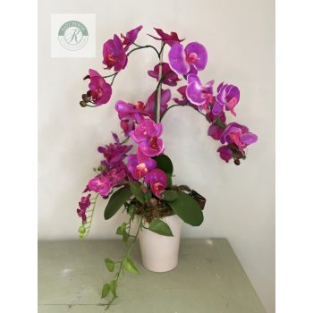 Orchidea asztaldísz 60 cm